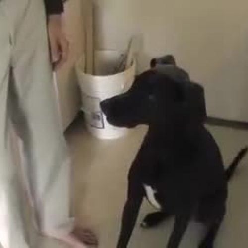 Who is Mr. Burgess? Or How I Got Here