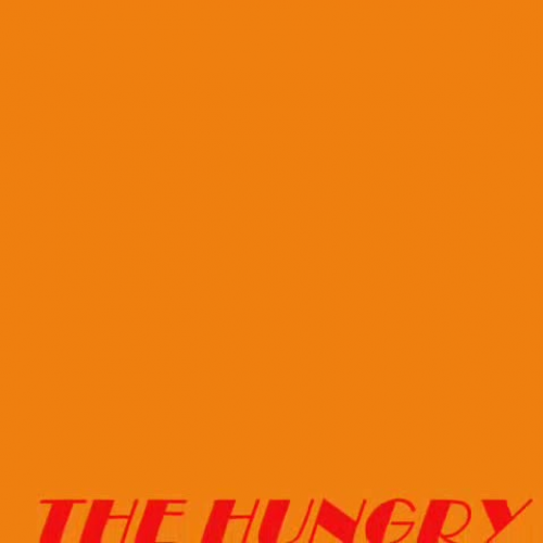the hungry cat
