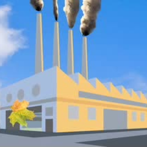 The Termite Natures Ethanol Factory