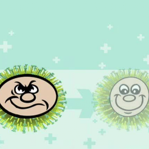 Extreme Virus Makeover