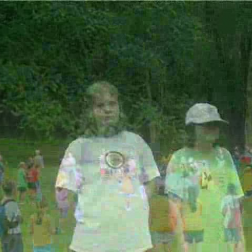 Center for Conservation Research