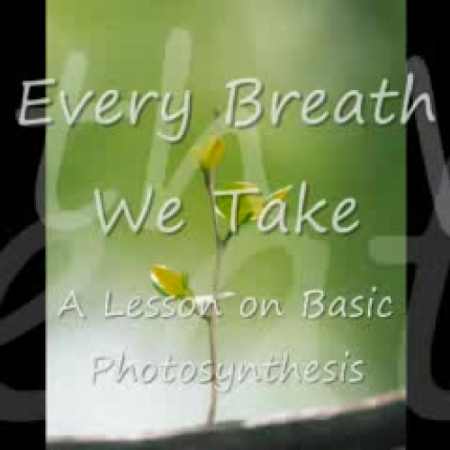 Every Breath We Take