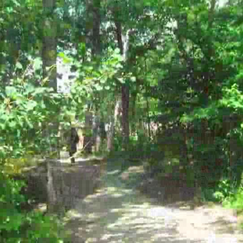 Master program promotion at CLV