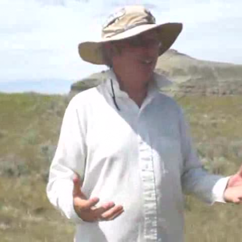 Project Exploration Arlene and Kikis Jason mo