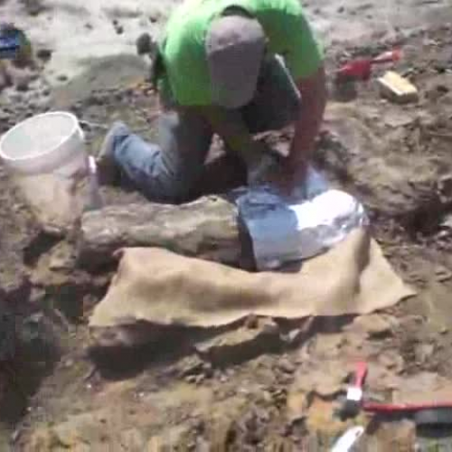 Project Exploration Arlene and Kikis Jack mov