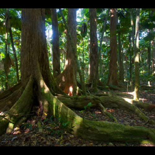 Mans destruction of the Planet