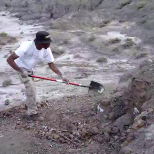 Project Exploration Dianes digging for fossil