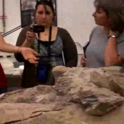 Project Exploration Arlene and Kikis first la