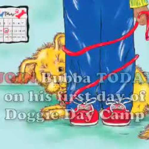 Doggie Day Camp