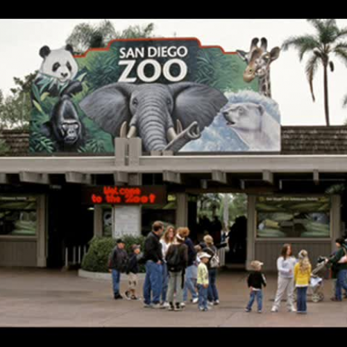 Zoo Movie