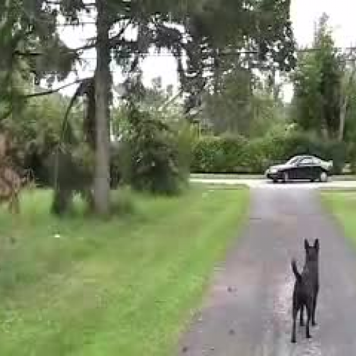 Remember September 11th - personal narrative