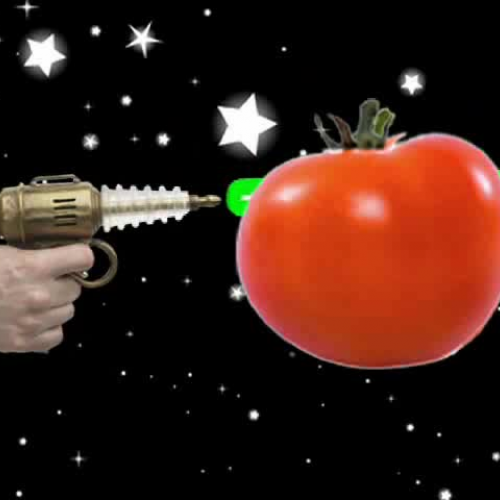 Tomatoes The Flavor Strikes Back