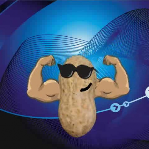 Making The Perfect Peanut