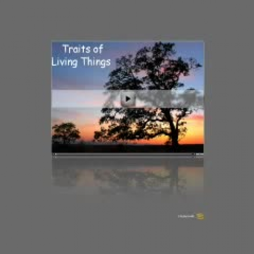 traits of living things