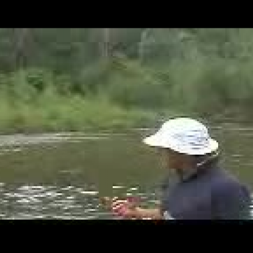 River Crossing With Data Analysis from the We