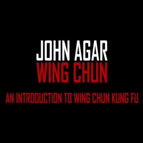 Wing Chun Kung Fu Tasted Trailer Video