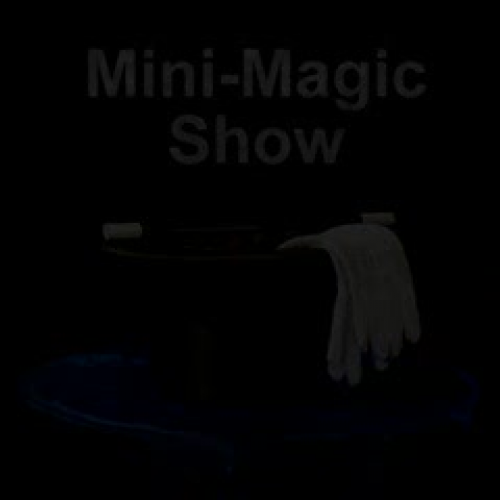 ZoeyBot Mini Magic Show Coins Through Hand
