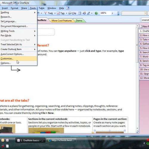 Tools Options settings in OneNote 2007