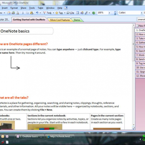 Password protection with OneNote 2007