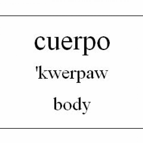 Learn Spanish - Human Body Vocabulary 