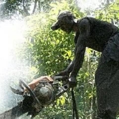 Deforestation in Africa