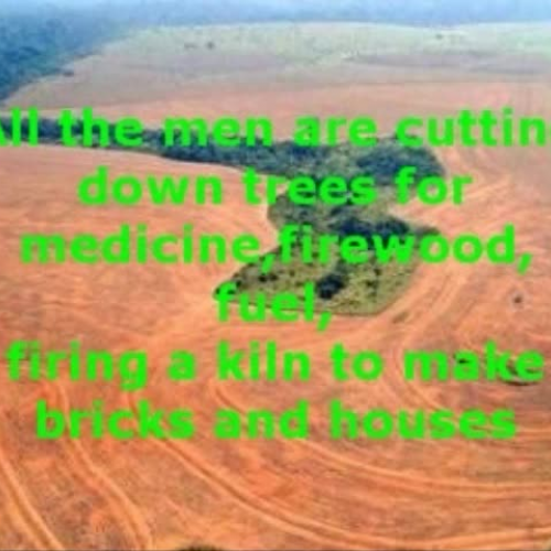 Deforestation in Africa