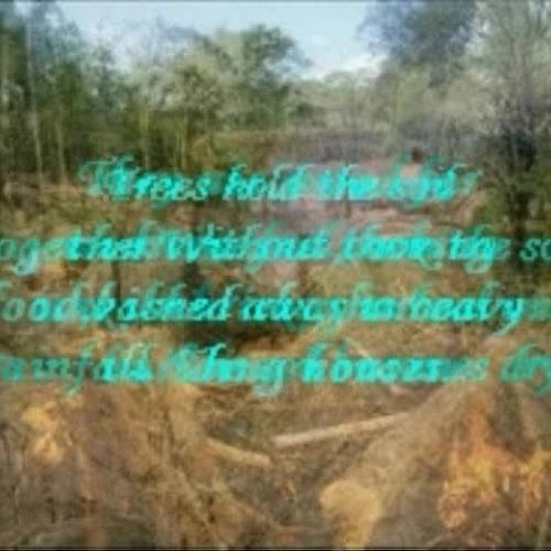 Deforestation in Africa