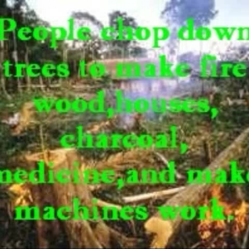 Deforestation in Africa