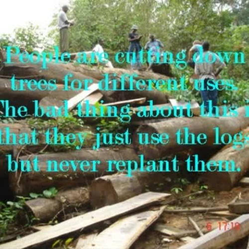 Deforestation in Africa