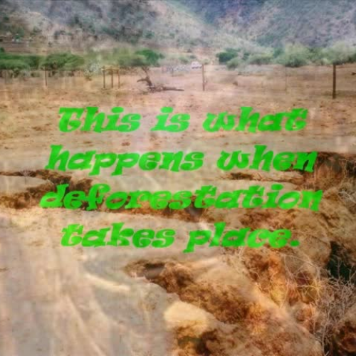 Deforestation in Africa