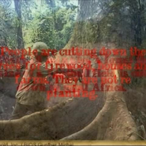 Deforestation in Africa