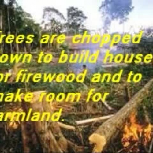 Deforestation in Africa