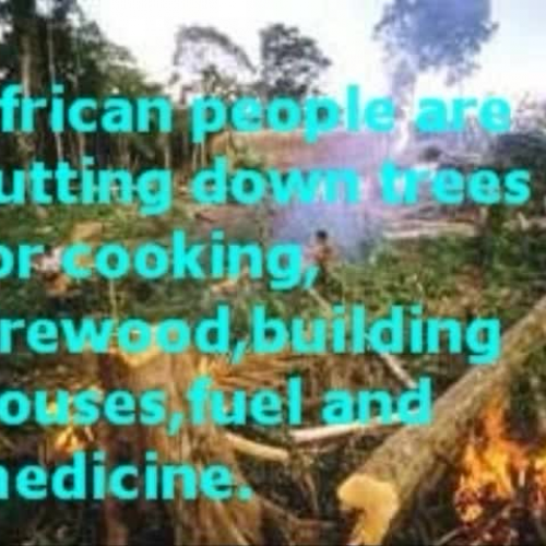 Deforestation in Africa