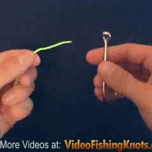 Tucked Half Blood Knot