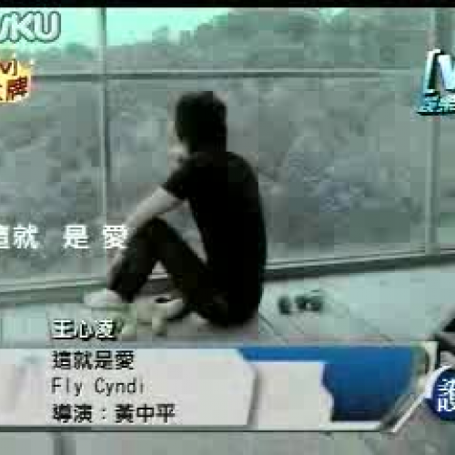 cyndi wong zhe jiu shi ai