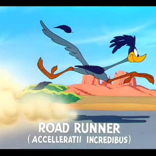 Road Runner Physics- Intro