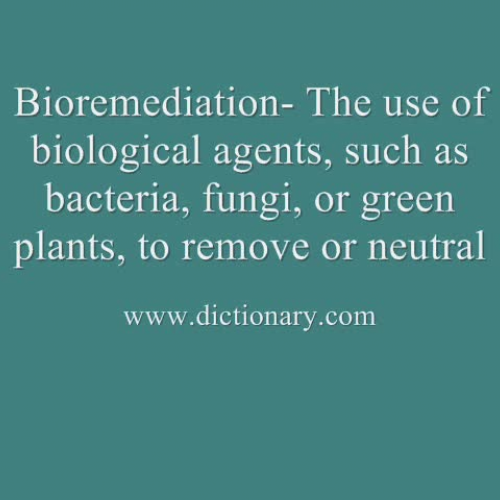 Bioremediation