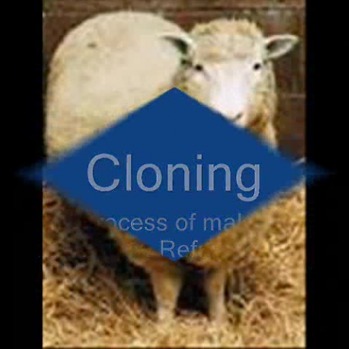 Cloning