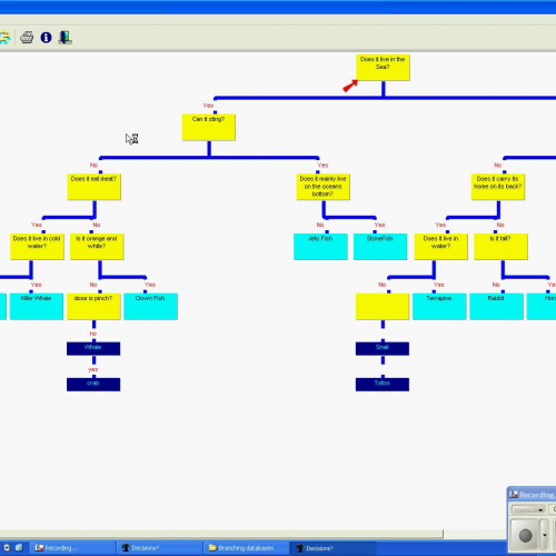 Branching database 1