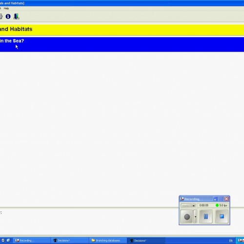 Branching database 2