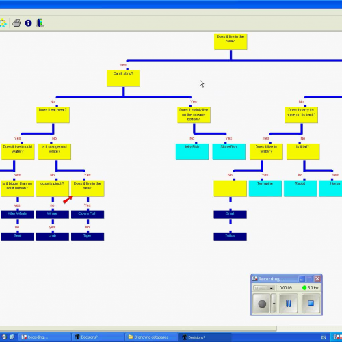Branching database 3