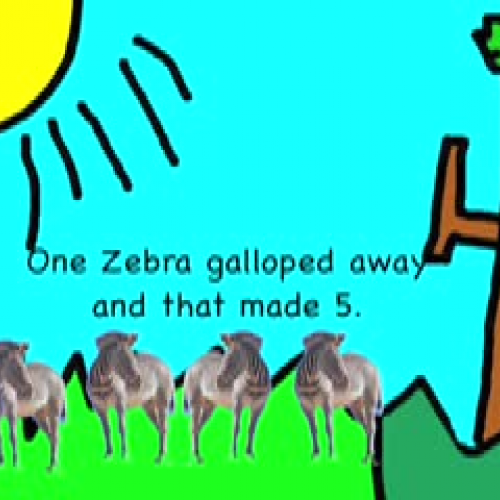 Zebra maths