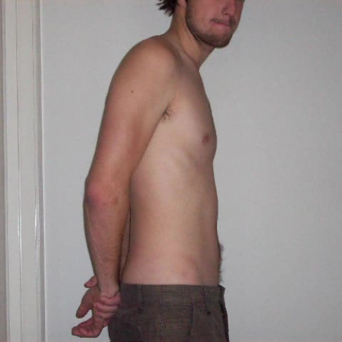 The respiratory system