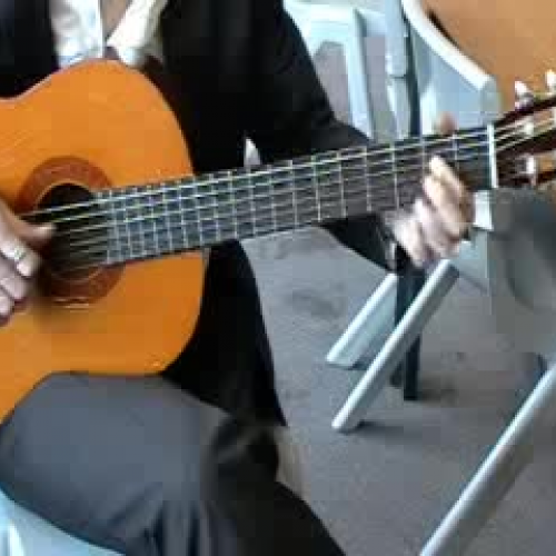 Acoustic Guitar - Cavatina