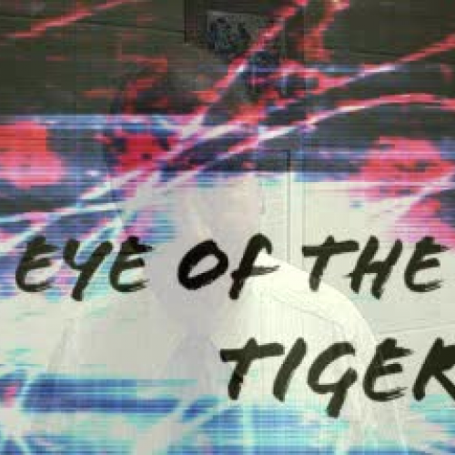 Eye of the Tiger Newscast