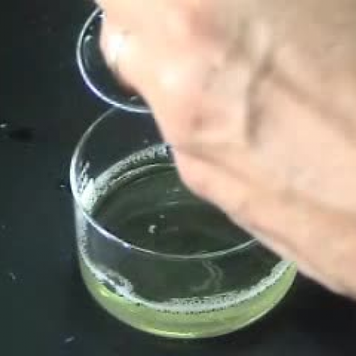 As linhas que esticam