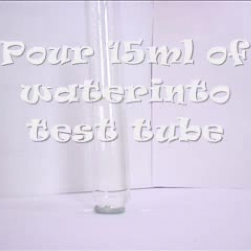 mini LAB Thinking Like a Scientist