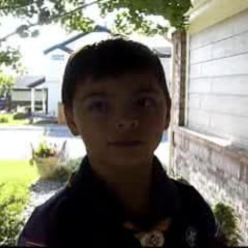 Please Support Scouting