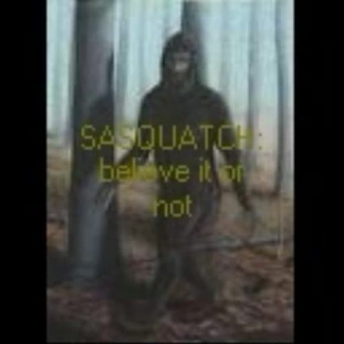 Sasquatch believe it or not