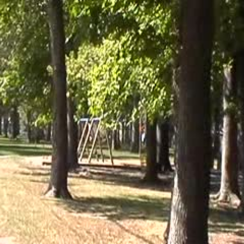 Elizabeth Graffiti Removal Community Service 